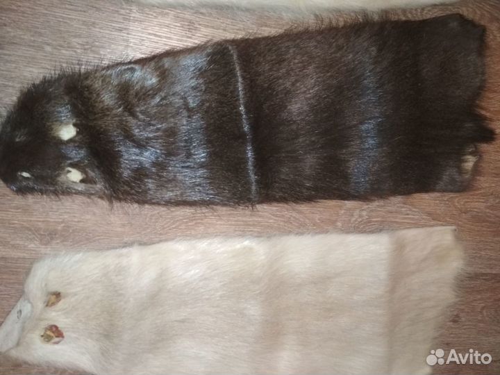 Шкурка животного