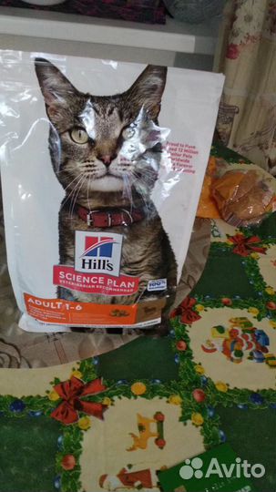 Корм для кошек Hills