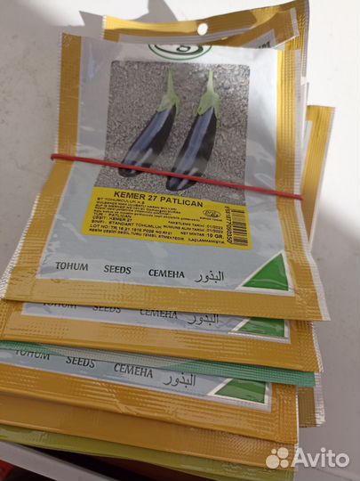 Семена (не гибриды, без Ф1), чеснок на посадку