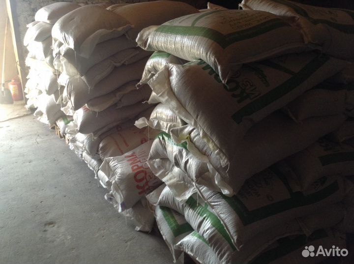 Корм для несушек, цыплят Крупа