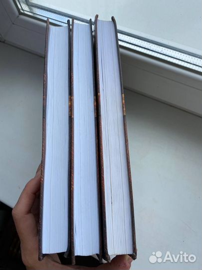 Коты Воители Золотая коллекция