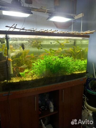 Аквариумы Jebo