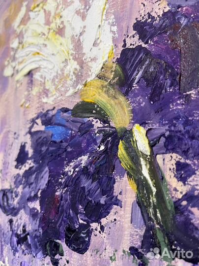 Картина ирисы пара