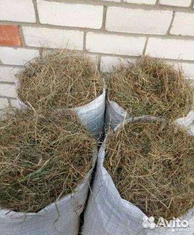 Сено в мешках 2023 года