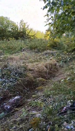 Участок 5 сот. (ИЖС)