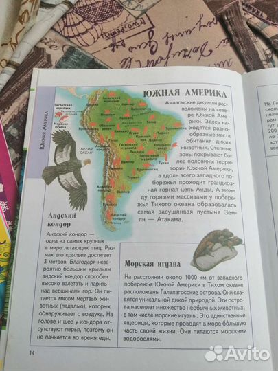 Атлас животные