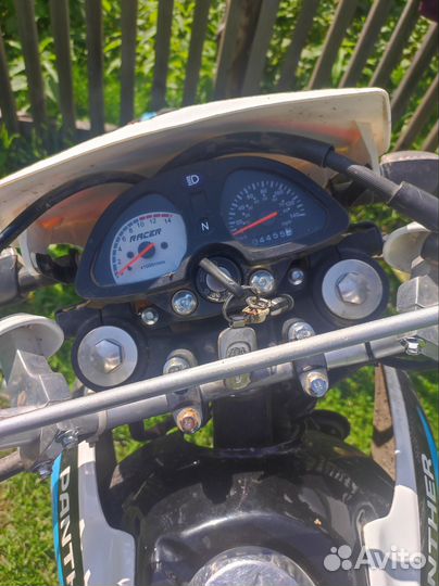Racer panther 250