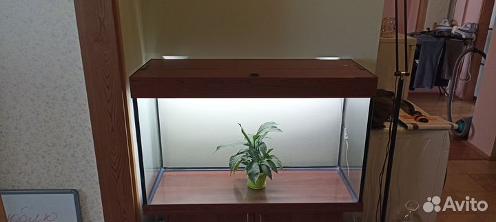 Аквариум на 200 литров