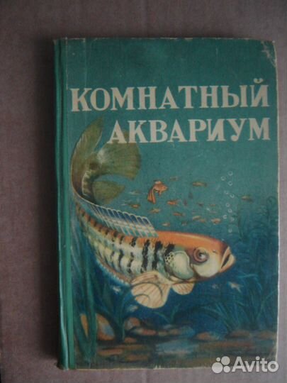 Аквариумные тропические рыбы. Комнатный аквариум