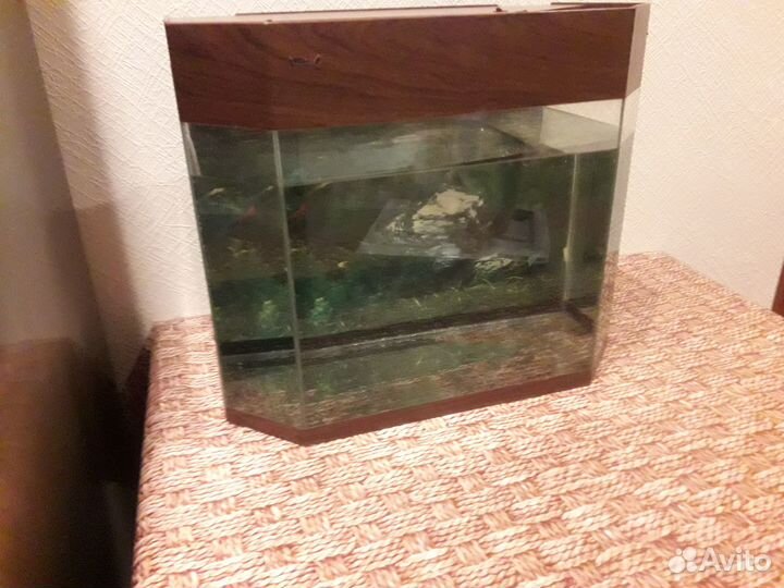 Аквариум
