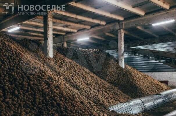 Участок 1431 га (СНТ, ДНП)