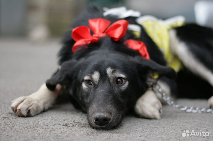 Принцесса, 10 месяцев