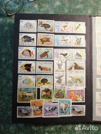 Альбом с марками