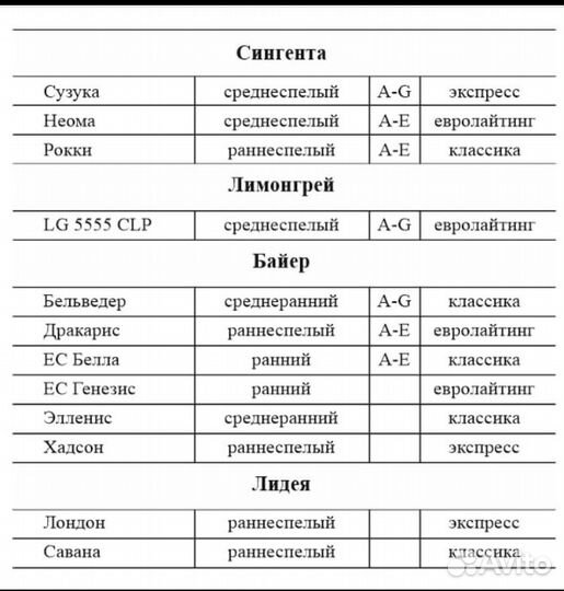 Семена подсолнечника под евролайтинг