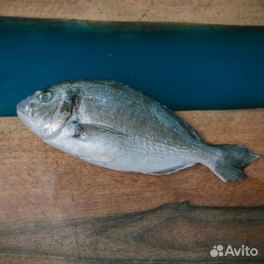 Сибас/Дорадо