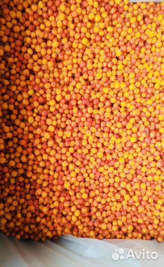 Облепиха замороженная оптом