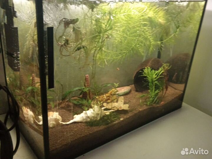 Аквариум 15 литров