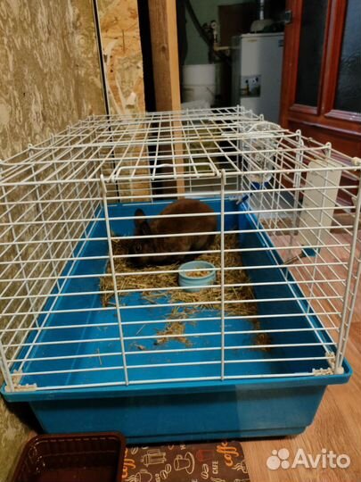 Клетка для грызунов большая