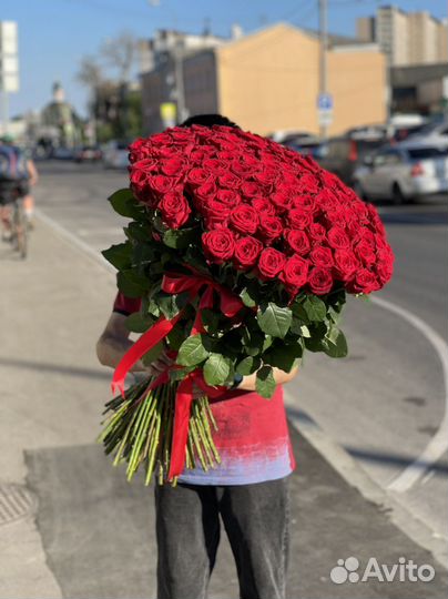 Роза 101шт 80см
