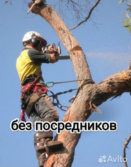 Спил деревьев / альпинист / покос травы