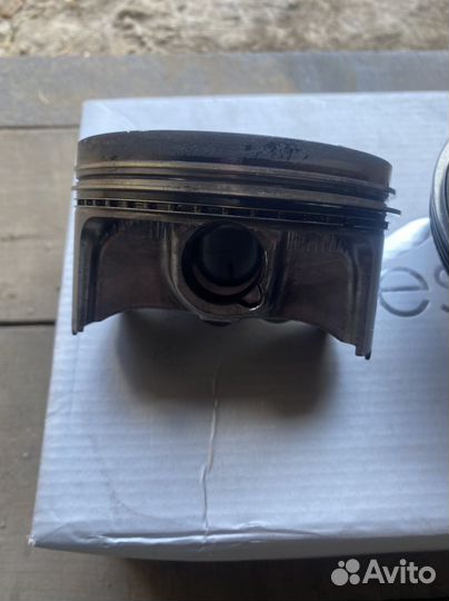 Поршень Brp 230,260,300