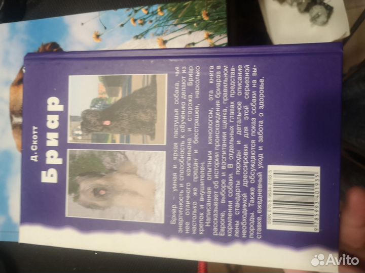 Книга бриар