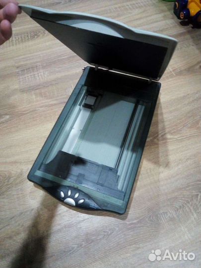 Сканер bearpaw 2448ta plus