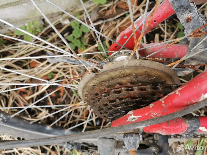 Велосипед stern