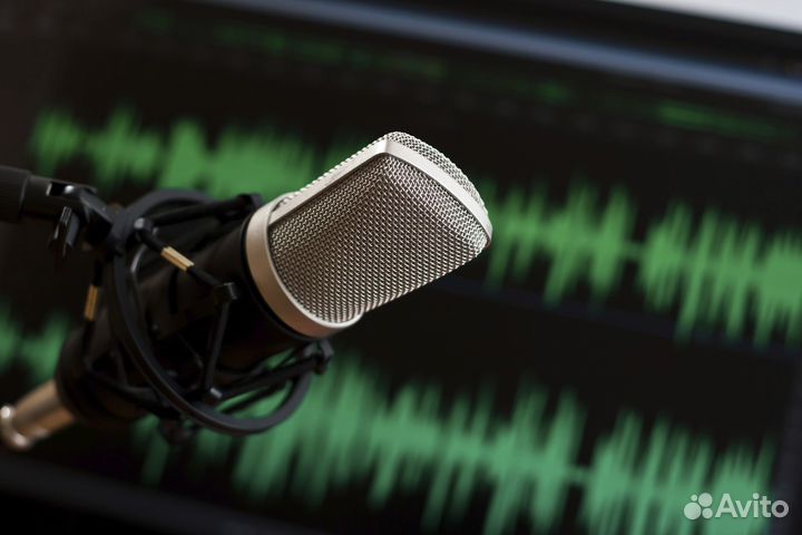 Озвучка\Дубляж Диктор озвучка текста и реклам