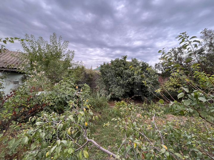 Участок 4,5 сот. (ИЖС)