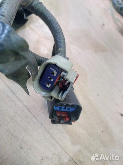 Коса форсунок Волга 31105 2.4 chrysler