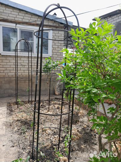 Опора для растений