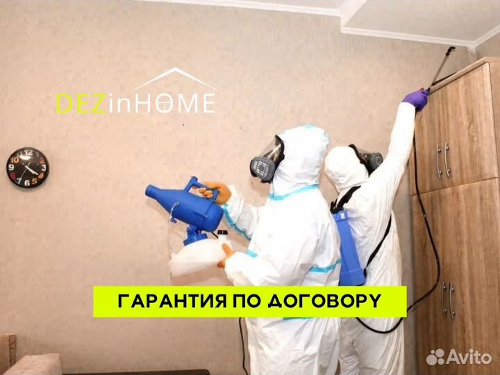 Уничтожение клопов тараканов дезинфекция плесени