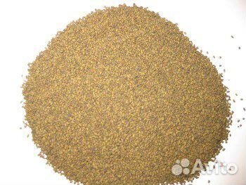 Семена люцерны. Люцерна