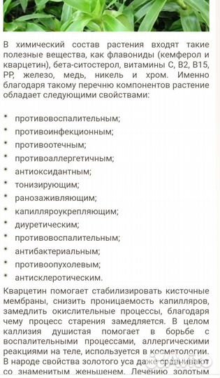 Комнатные растения