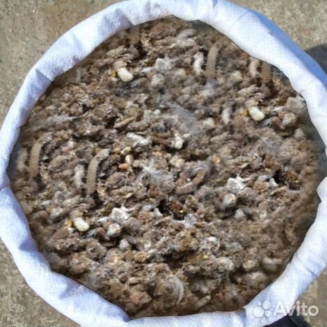 Навоз куриный