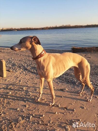 Фотосессия