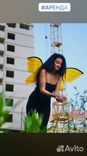 Крылья бабочки