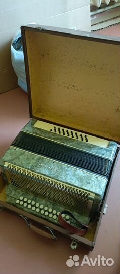 Гармонь весна