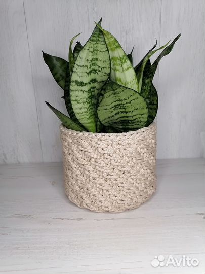 Круглое кашпо из полиэфирного шнура