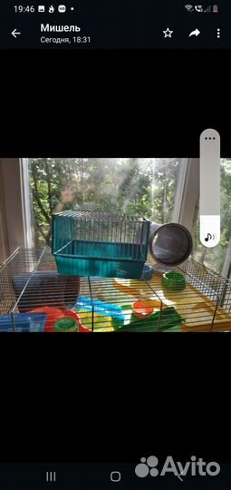 Клетка для грызунов очень большая