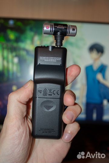 Диктофон Olympus VN-541PC