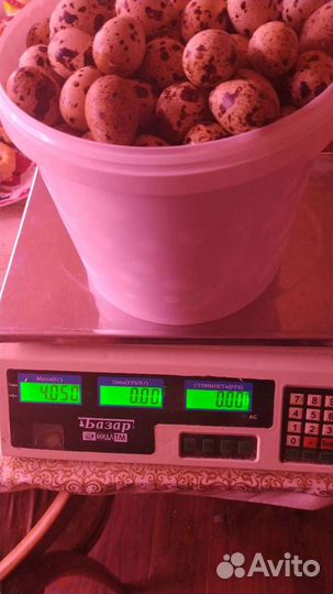 Яйца перепелиные