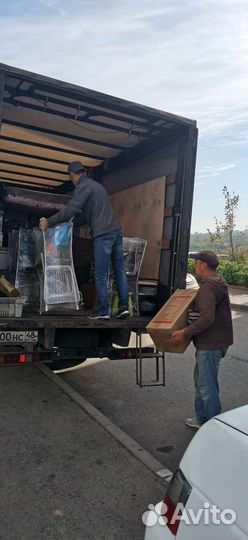 Грузоперевозки Грузчики Переезды по городу и Обл