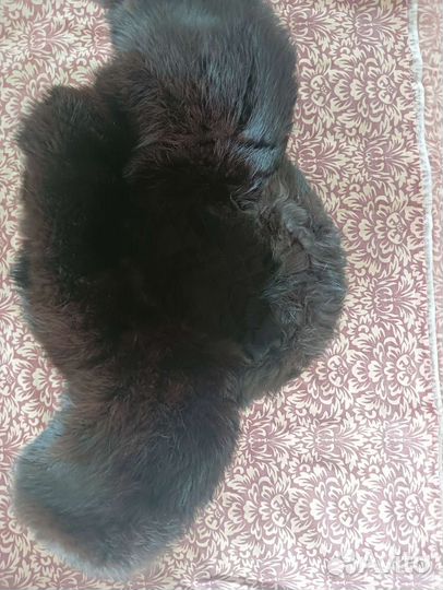 Шапка мужская ушанка. Мех - кролик)