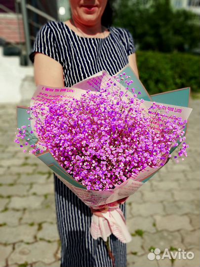 Разноцветная гипсофила букеты