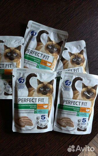 Кошачий корм влажный