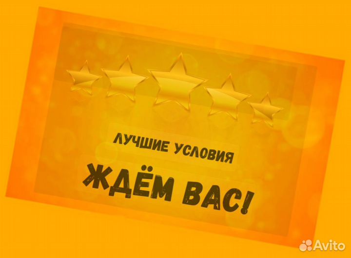 Наборщик заказов Без опыта Еженедельные выплаты