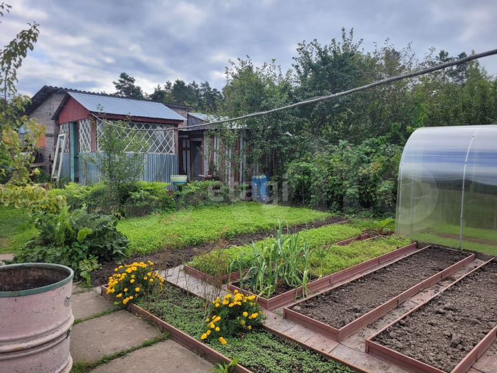 Дача 56 м² на участке 4,9 сот.