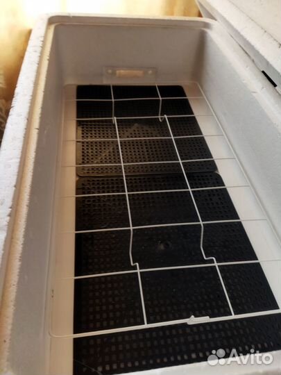 Инкубатор несушка